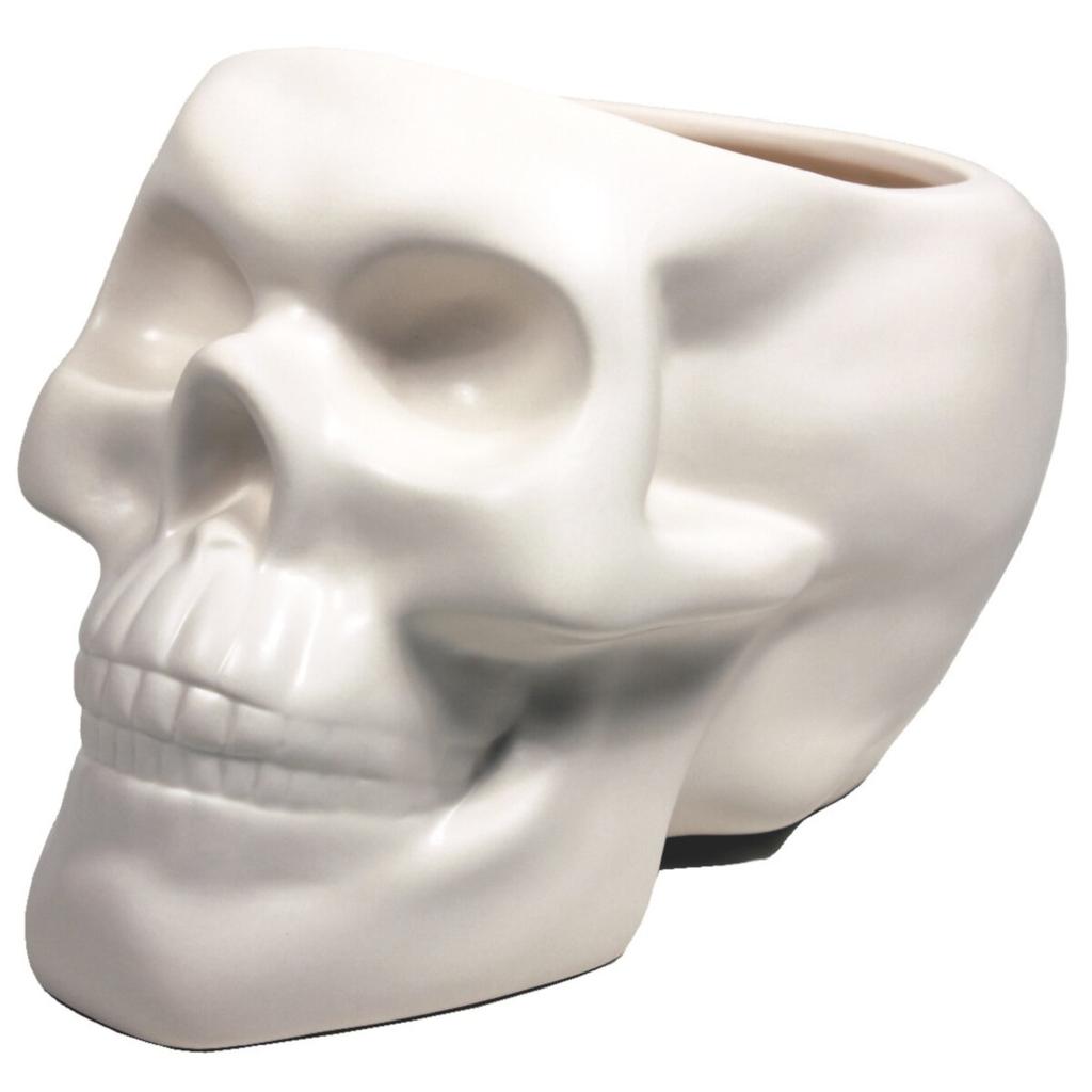 Planter Bone Skull Main Image  width="825" height="699"